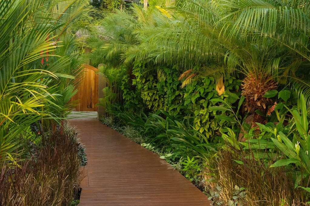 Casa Chameleon Hotel Mal Pais - Adults Only Playa Santa Teresa  Kemudahan gambar