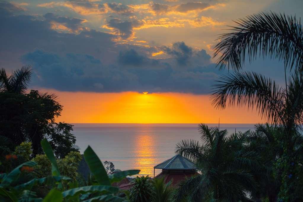 Casa Chameleon Hotel Mal Pais - Adults Only Playa Santa Teresa  Kemudahan gambar