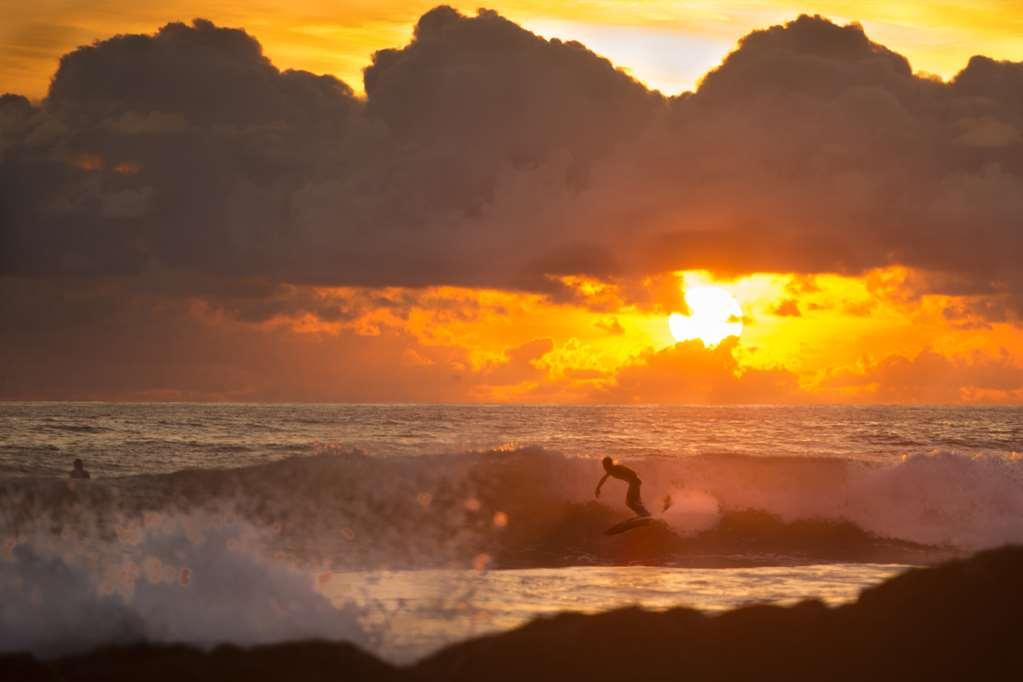 Casa Chameleon Hotel Mal Pais - Adults Only Playa Santa Teresa  Kemudahan gambar